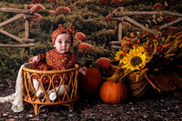 MT Pumpkins