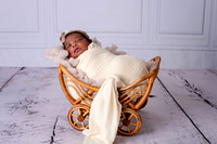 Newborn Moffite