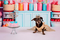 RB Sweet 16