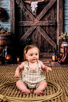 Harley C Cowboy